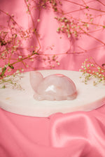 Load image into Gallery viewer, NaturalRose Quartz Tortoise With Silver