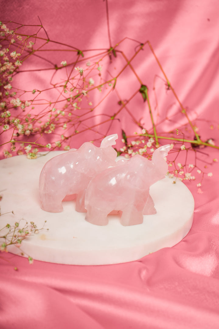 Natural Rose Quartz Elephant Pair