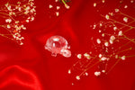 Load image into Gallery viewer, Natural Clear Quartz Tortoise with Silver
