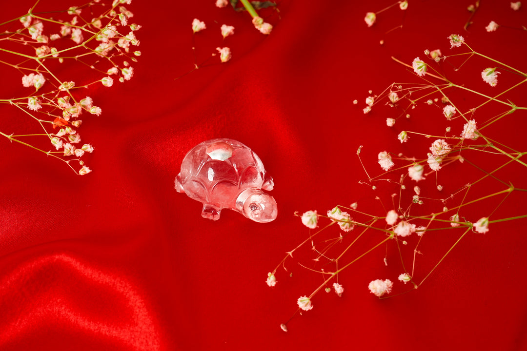 Natural Clear Quartz Tortoise with Silver